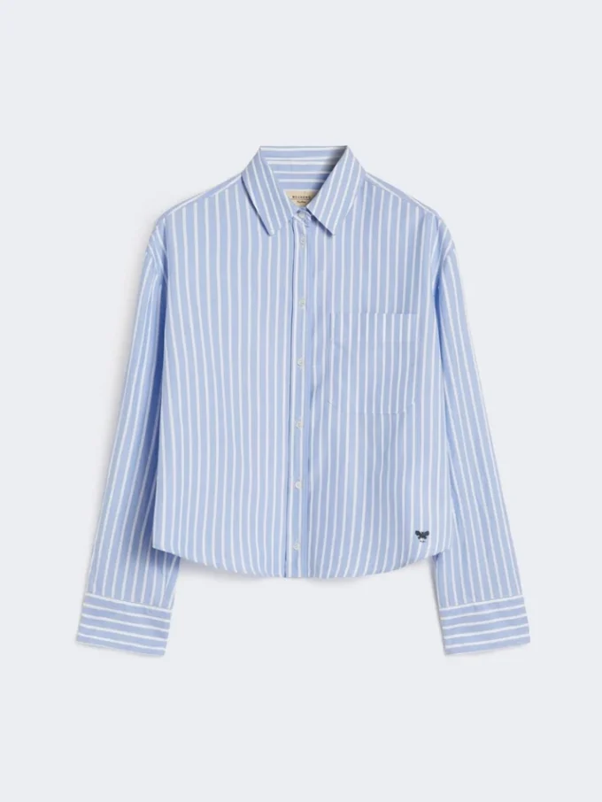 Striped cotton oxford shirt, light blue Striped cotton oxford shirt, light blue